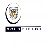 GOLD-FIELDS