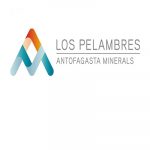 Los Pelambres_logo